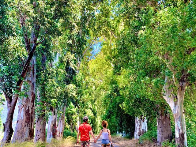 Marmaris Datça Dalyan Turu ( 4 Gece Konaklamalı )