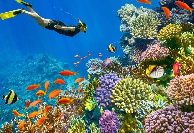 Promosyon Sharm El Sheikh Turu Ajet ile 4 Gece Transfer Saatine Kadar Otel Kullanımlı