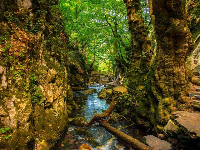 Kazdağları Assos Bozcaada Turu ( 1 Gece Konaklamalı )